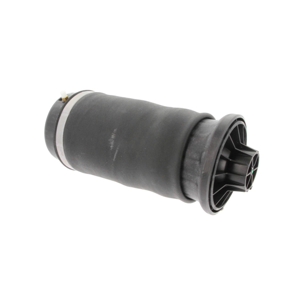 Air Spring Shock and Strut for Mercedes-Benz (Rear, Driver/Passenger Side)