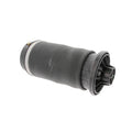 Air Spring Shock and Strut for Mercedes-Benz (Rear, Driver/Passenger Side)