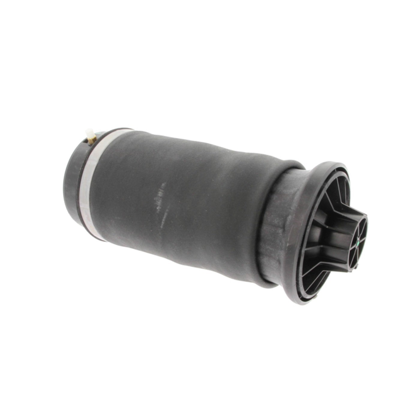 Air Spring Shock and Strut for Mercedes-Benz (Rear, Driver/Passenger Side)