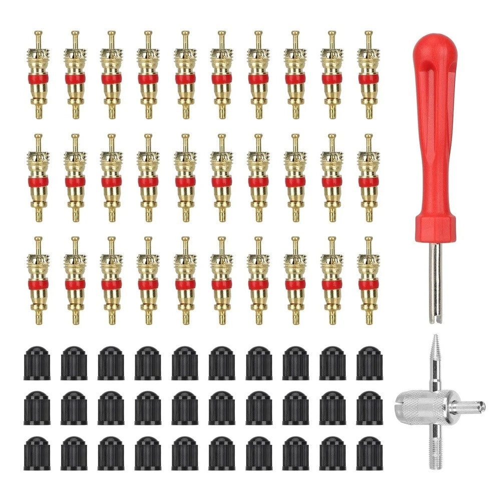 62 Piece Valve Core Removal Tool Set for Car Bike Scooter Tube Repairs