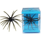 Floating Sea Urchin Lure for Saltwater Freshwater Topwater (TPR Material)