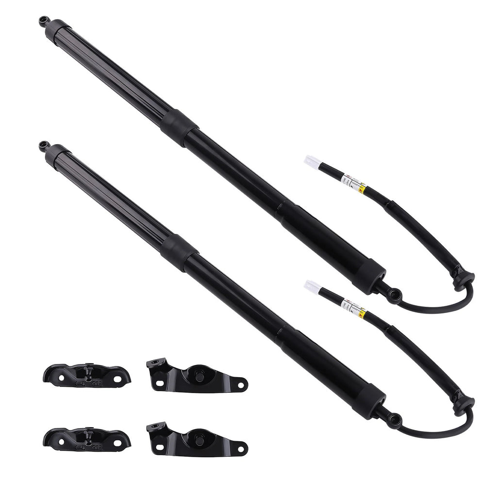 Rear Trunk Lift Support Strut for Toyota Highlander (2014–2019)