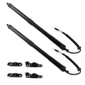Rear Trunk Lift Support Strut for Toyota Highlander (2014–2019)