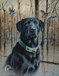 Vintage Replica Tin Metal Sign for Mallard Dog Duck Unlimited (1203)
