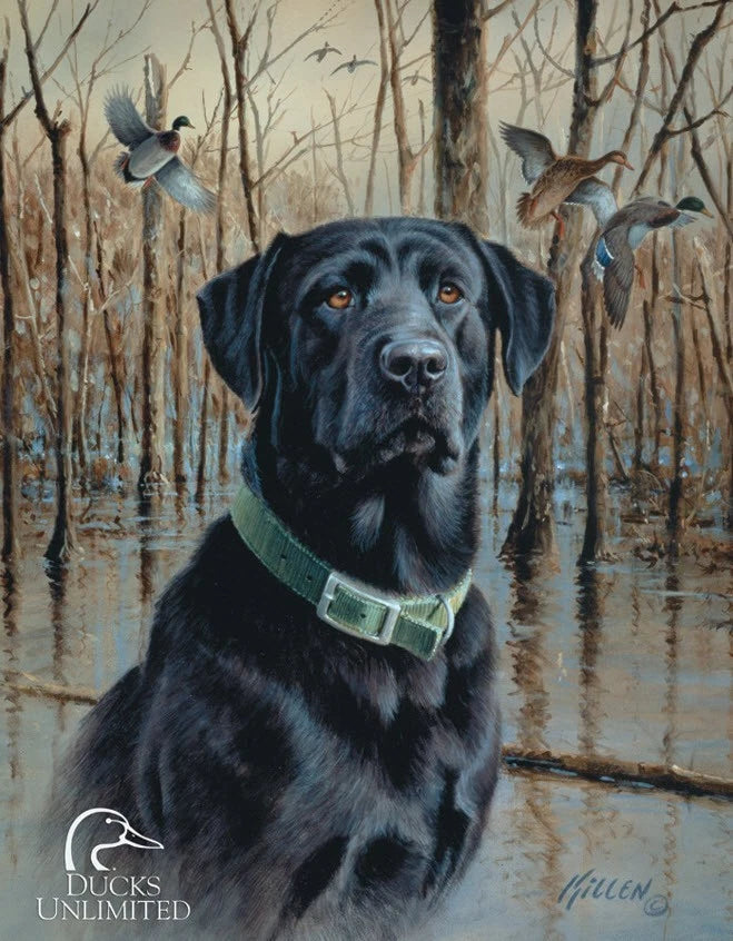 Vintage Replica Tin Metal Sign for Mallard Dog Duck Unlimited (1203)