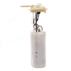 Delphi FG0159 Fuel Pump Module Assembly for Chevrolet Express 3500 (2001–2002)