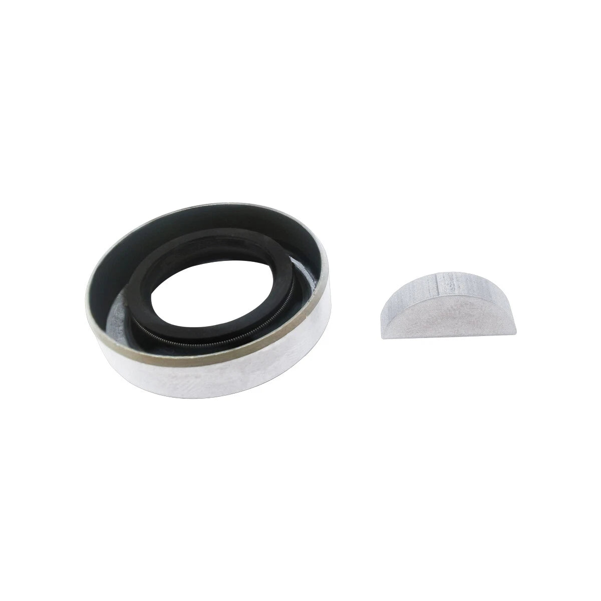 Minor Repair Kit 19300 for Sherwood Pump P101 P1012 (40064)