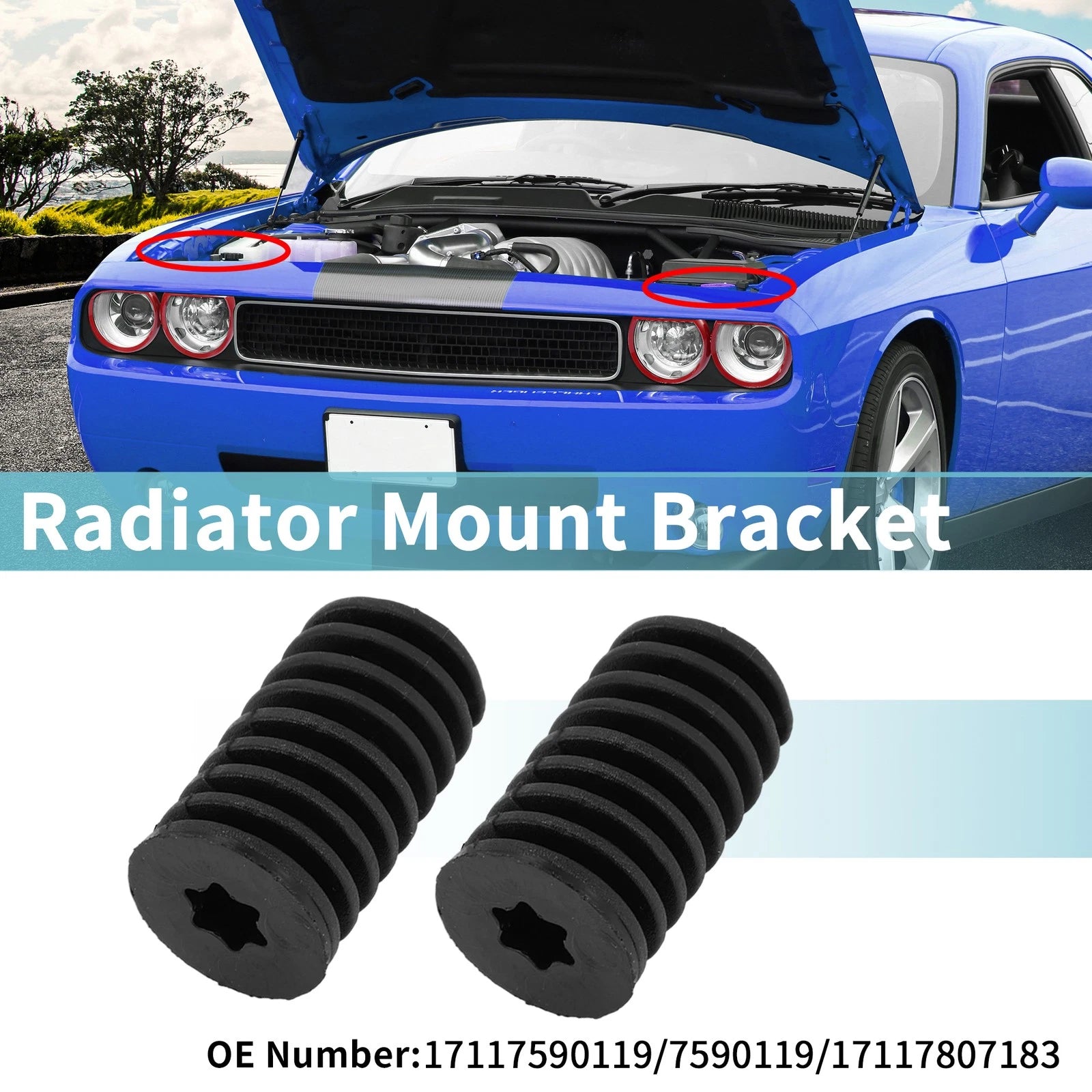 2 Pcs Radiator Mount Bracket Set for BMW 1er E81 (2006–2011) No. 17117590119