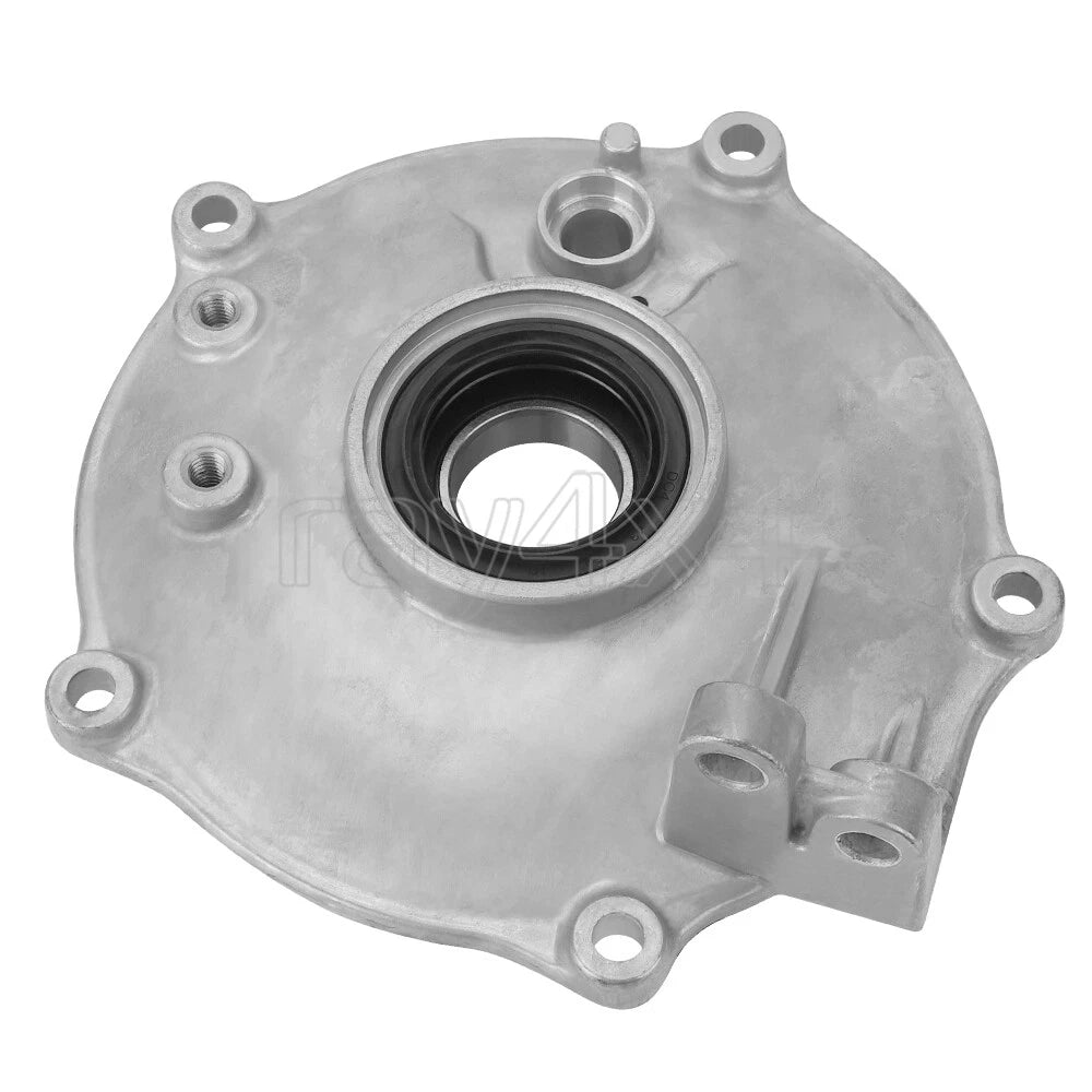 Rear Drum Brake Backing Plate & Shoes Kit for Honda TRX250EX TRX250X (2001–2009)