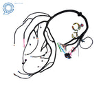 Stand Alone Wiring Harness for LS Truck (1999–2006) with T56 DBC