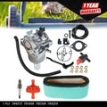 Carburetor for Various Models (Fits 792358, 794572, 791858, 793224)