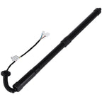 Liftgate Lift Support Shock Strut for Honda Pilot (2018–2020)