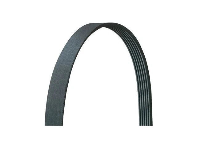 Main Drive Multi Rib Belt for Jaguar XJR (2004–2009) NR397DF