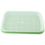 Sprouter Tray with Lid for Bean Sprout Wheatgrass Grower (33x26x5cm)