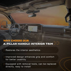 Pair A-Pillar Interior Trim Grab Handles for Ford F-250 (2011–2016)
