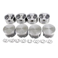 Piston Set for DNJ (P1100)