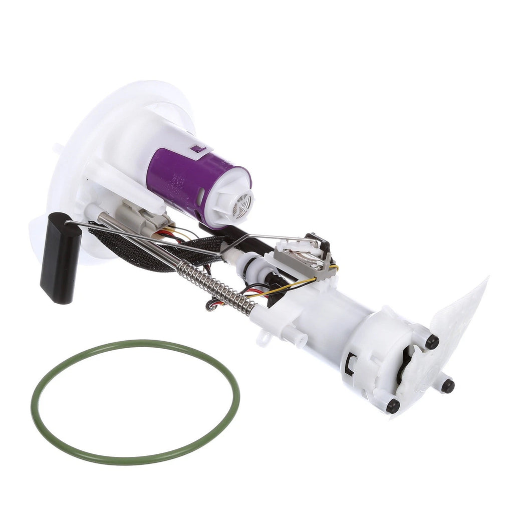 Delphi FG0850 Fuel Pump Module Assembly for Ford F-150/Lincoln Mark LT (2004–2008)