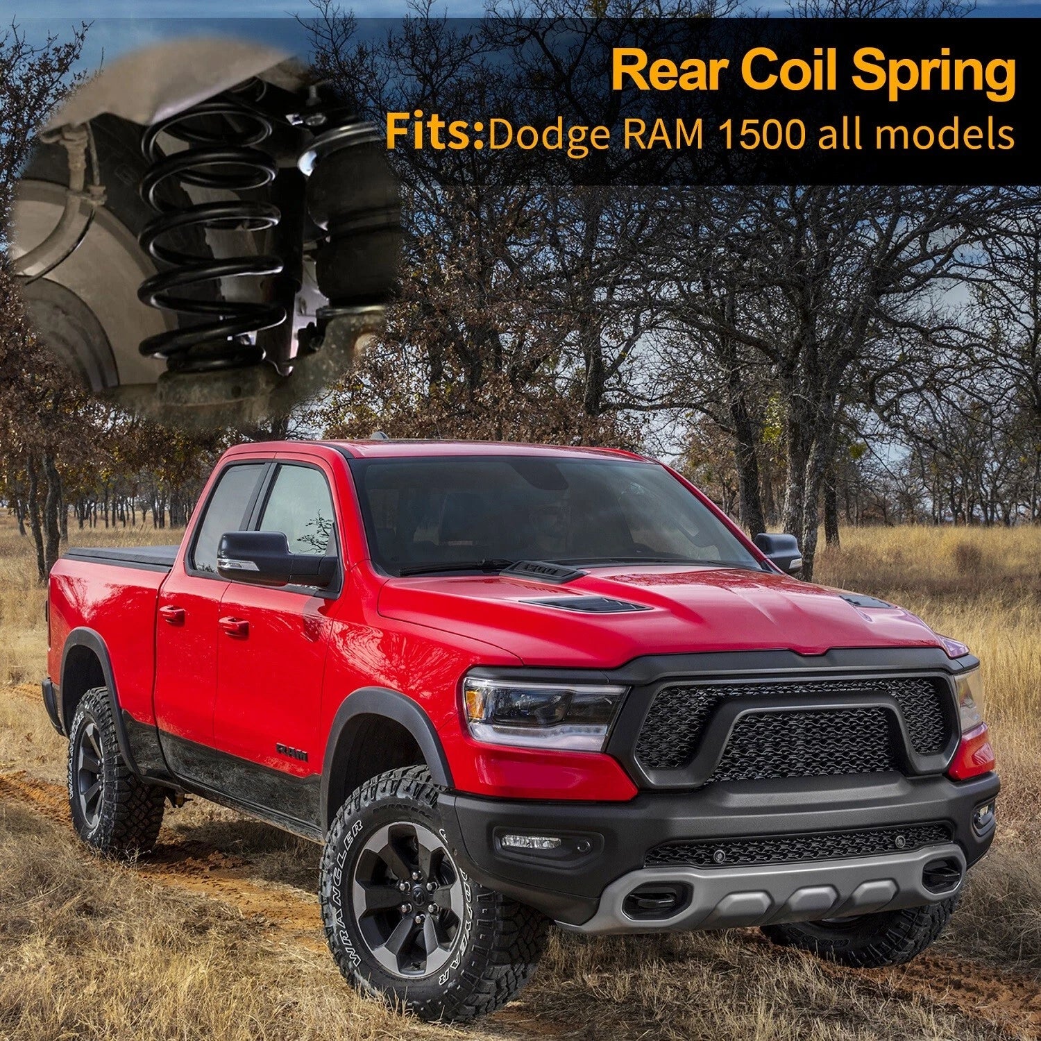 Rear Coil Spring Kit for Ram 1500  - 50% Heavier Load Capacity