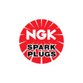 Set of 6 NGK Ruthenium HX Spark Plugs for Audi A4 A6 Quattro (2005–2011)