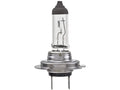 Headlight Bulb for Jaguar XJ8 (1998–2009) QV528MG
