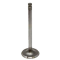 Intake Valve A-31431281-AI for