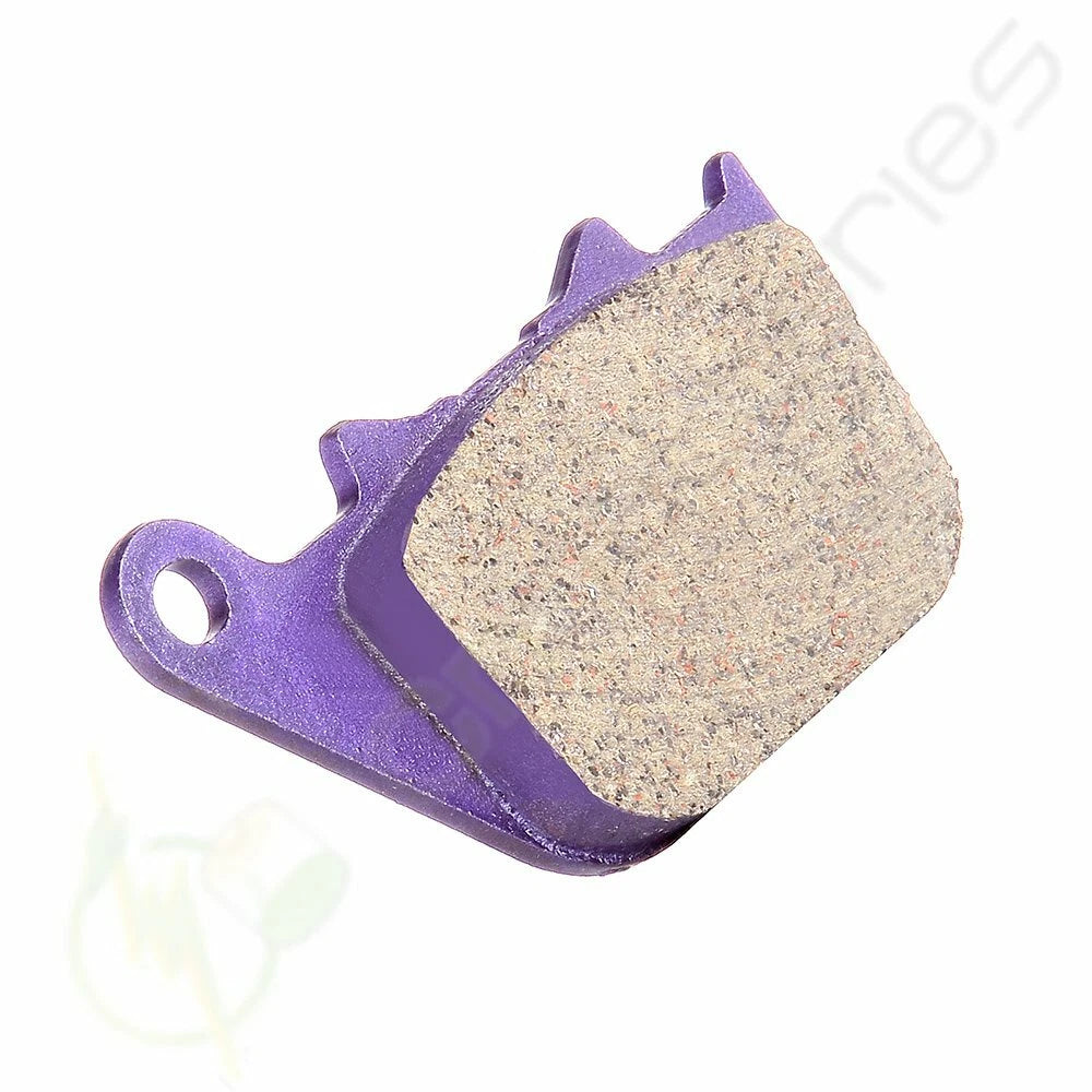 Rear Brake Pads for Harley-Davidson XR1200 Sportster 1200 (2009–2010) Carbon Fiber