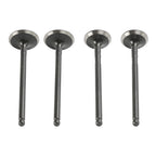 Intake & Exhaust Valves with Seals for Polaris ATV UTV (3085349, 3084905, 3085412)