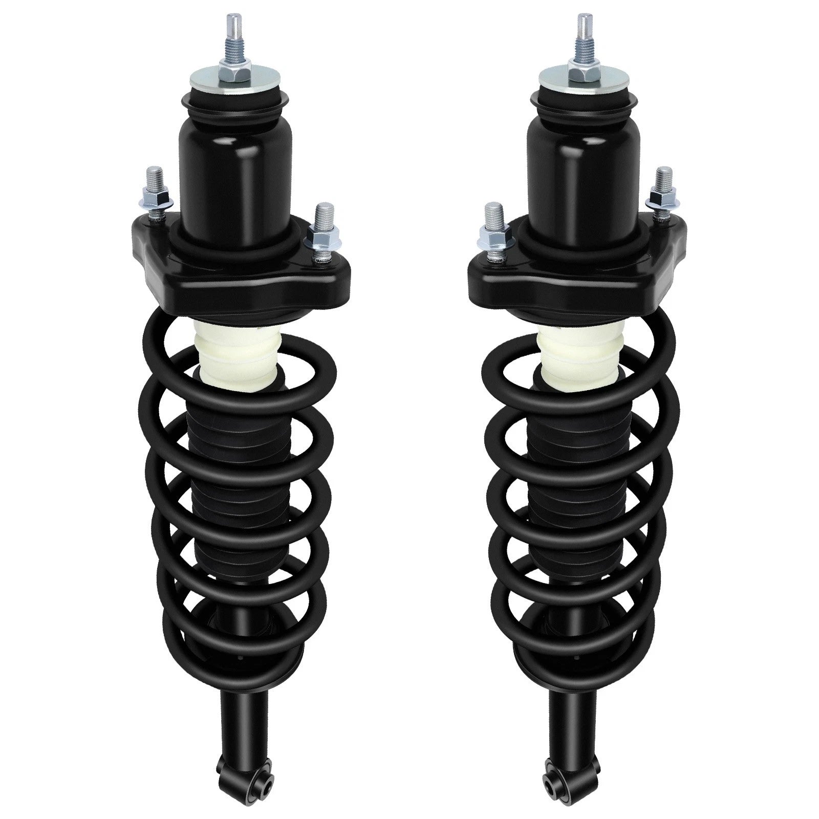 Set of 2 Rear Complete Struts for Dodge Journey (2009–2010)