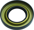Rear Brake Drum Seal for Honda TRX350FM/FE FourTrax Rancher (2000–2006)