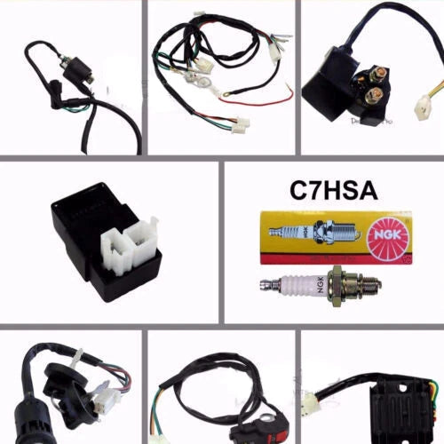 Wiring Harness Loom Engine Kit for Atomik Thumpstar Pitpro Foxico TDR (2000–2023)