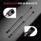 2X Rear Tailgate Lift Support Shocks Struts for Infiniti QX56 QX80 (2011–2017)
