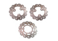 Set of 2 Precision Brake Rotors for Honda TRX450 R/ER (2004–2014)