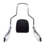 Sissy Bar Backrest Upright Standard Chrome for Harley FLFB (2018–2020)