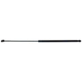 Hood Lift Supports for Sedan (Driver or Passenger Side)