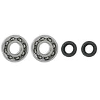 Crankshaft Bearings & Oil Seal Kit 9639 003 1206 for MS193 MS194 (2019–2023)