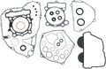 Motor Gasket Kit with Oil Seal for Kawasaki (811481mse)