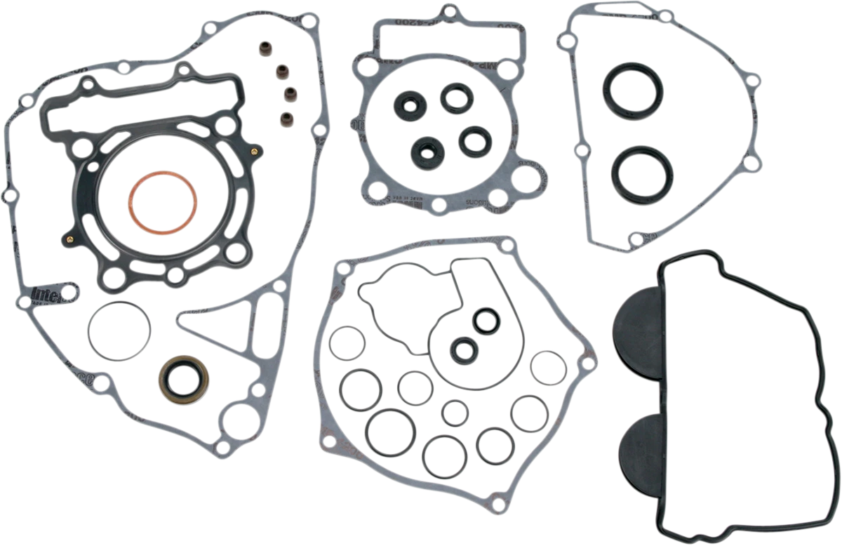 Motor Gasket Kit with Oil Seal for Kawasaki (811481mse)