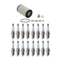 Wix Engine Oil Filter & NGK 16 Spark Plugs for Mercedes W202 C43 AMG (1998–2000)