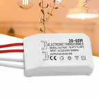Power Electronic Transformer 220V to AC12V (20-60W)