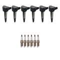 Set of 6 Ignition Coils & Denso Iridium Spark Plugs for RAV4 (2006–2012)