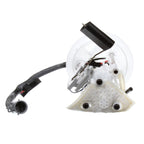 Delphi FG0868 Fuel Pump Module Assembly for Ford Explorer/Mercury Mountaineer (2002–2010)