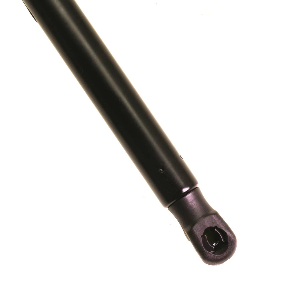 Hatch Lift Support for Audi A4 allroad (2017-2025)