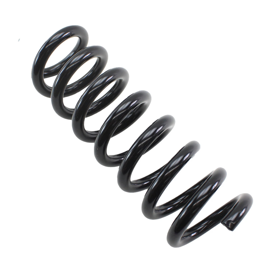 Lesjofors Rear Coil Spring 4256857 for Mercedes W211 E320 E350 E500 E550 (2003–2009)