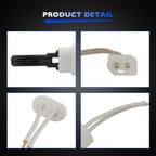 Igniter & Gasket Kit for Pentair MasterTemp 200/250/300/400 (2005–2023)