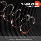 2X Rear Side Coil Springs for Ford Edge (2012-2014)