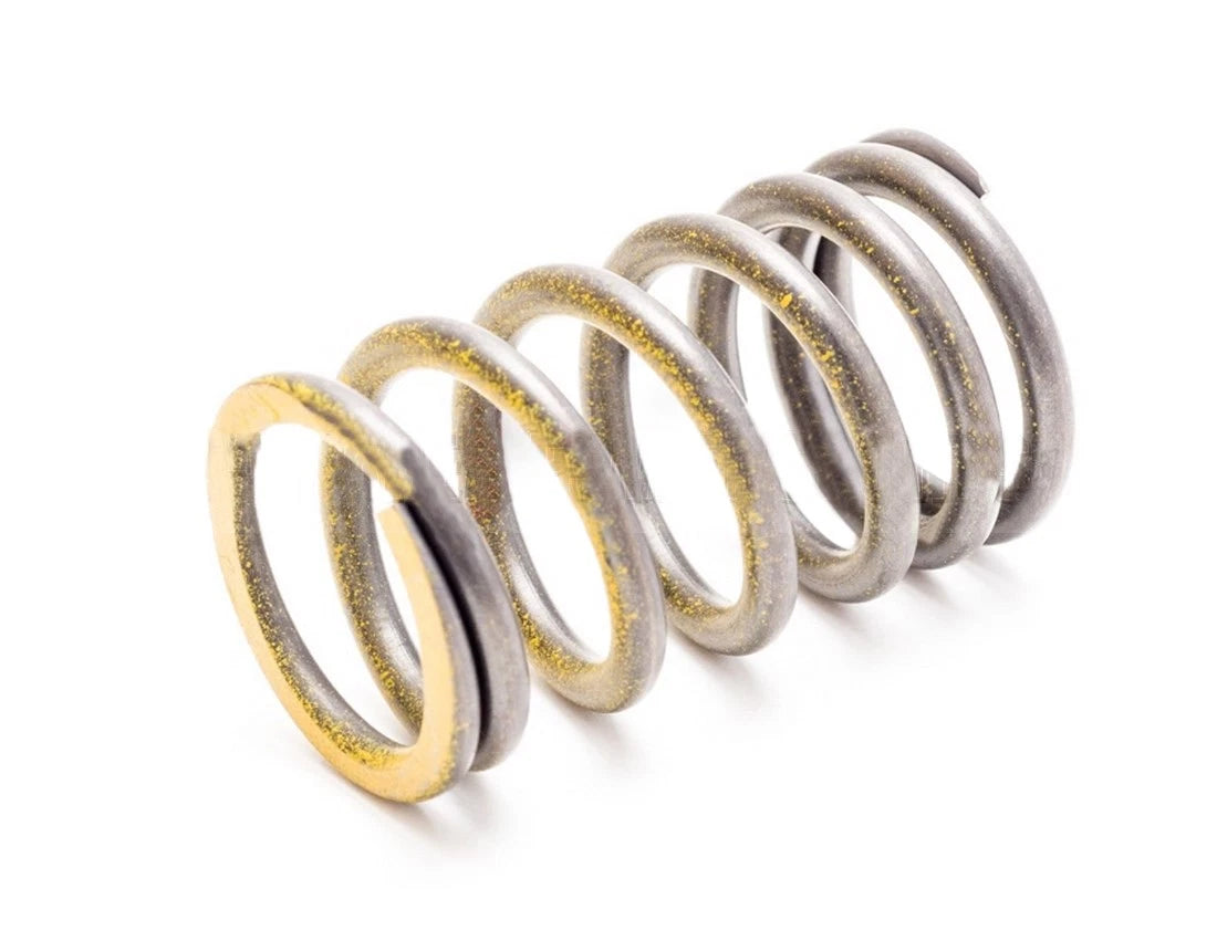 Outer Valve Spring for Sea Doo 4-Tec (420-238-180)