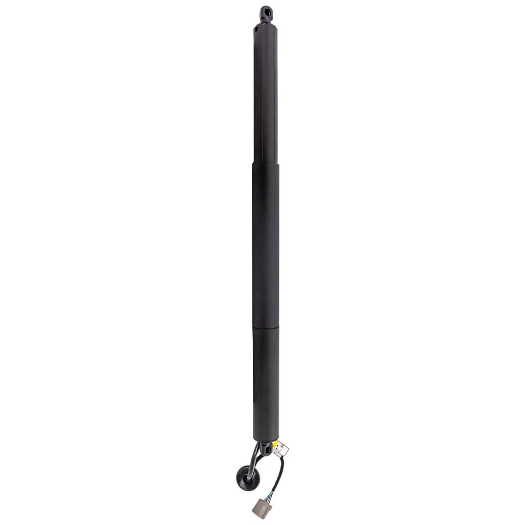 Liftgate Lift Supports for Ford Explorer (2015)