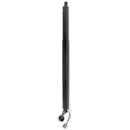 Liftgate Lift Supports for Ford Explorer (2015)