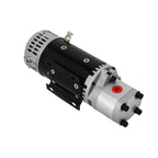 Hydraulic Pump and Motor Assy for Skyjack SJIII 4632 4626 4620 (2010–2023)