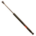 Deck Lid Lift Support for BMW 328i (2007–2011)